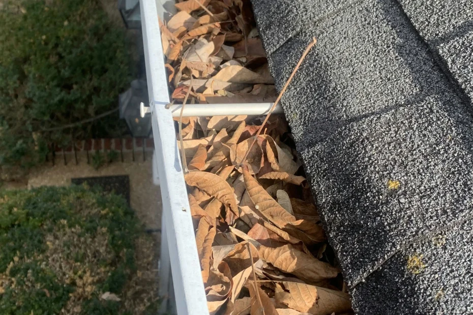 Gutter Cleaning Belton