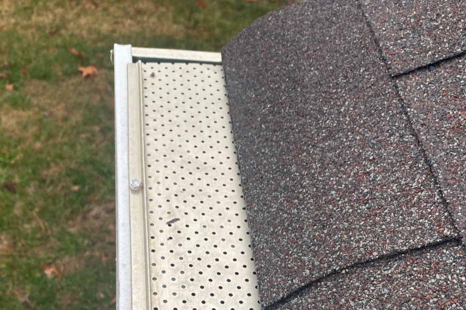 Gutter Cleaning Belton